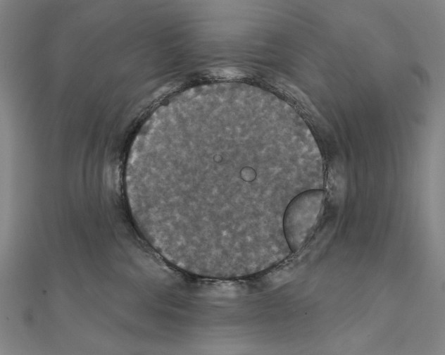 X0000111590330200908271014