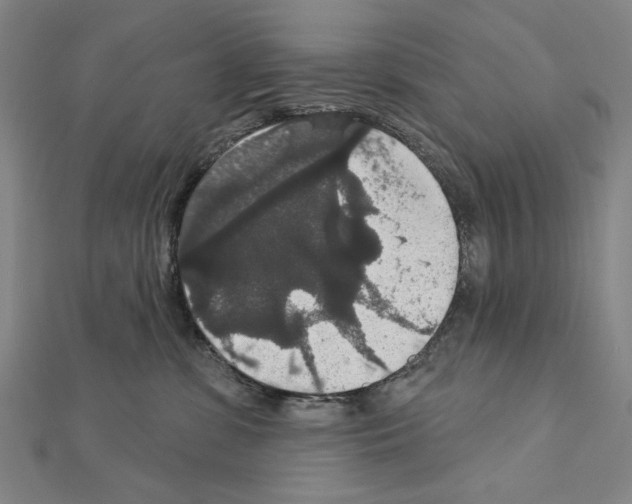 X0000111590331200908271014