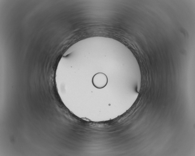 X0000111590332200908271014
