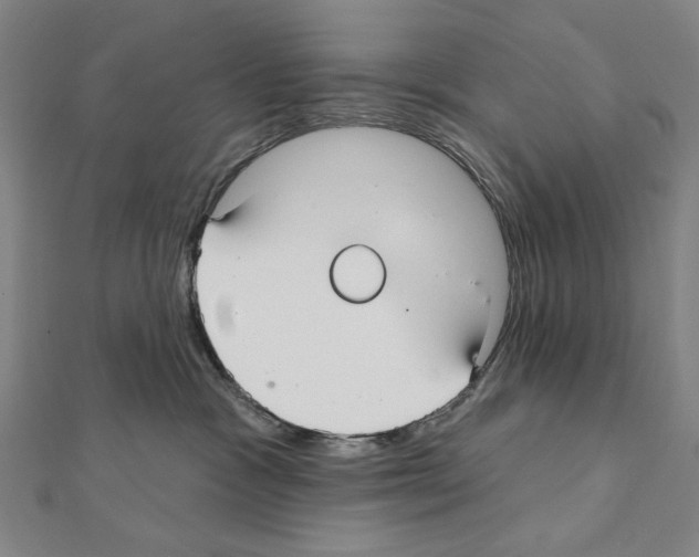 X0000111590333200908271014