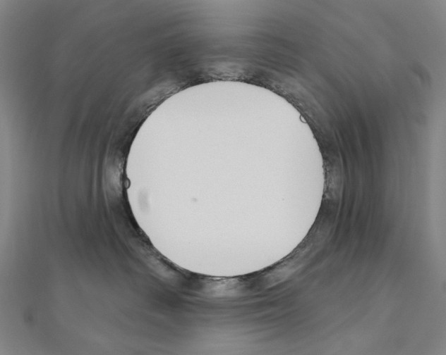 X0000111590334200908271014