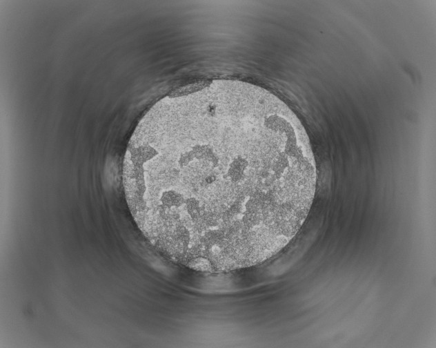 X0000111590335200908271014