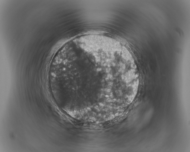 X0000111590337200908271013
