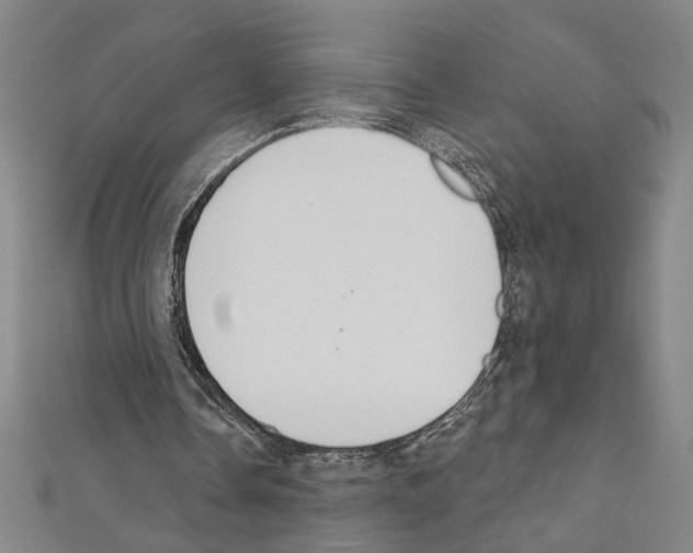 X0000111590338200908271013