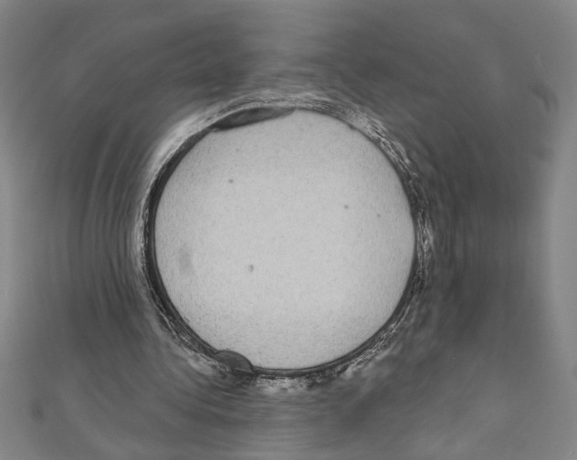 X0000111590340200908271013