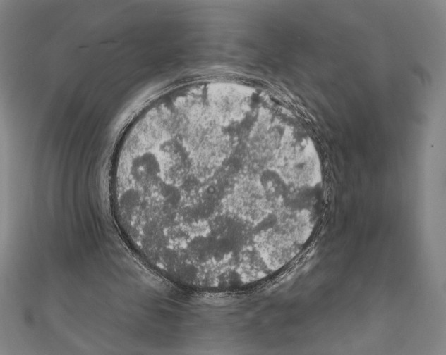 X0000111590341200908271013