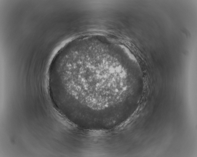 X0000111590342200908271013