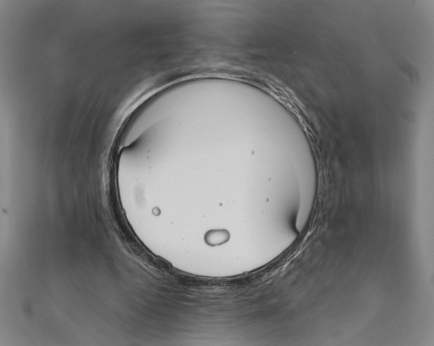 X0000111590344200908271014
