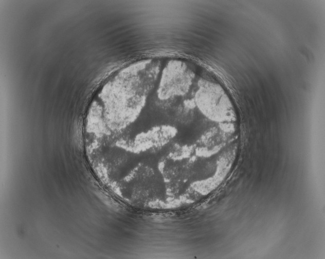 X0000111590345200908271014