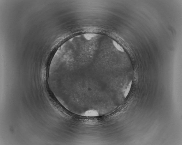 X0000111590347200908271014