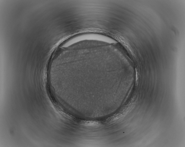 X0000111590348200908271014