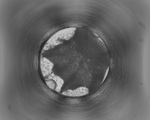 X0000111590349200908271014