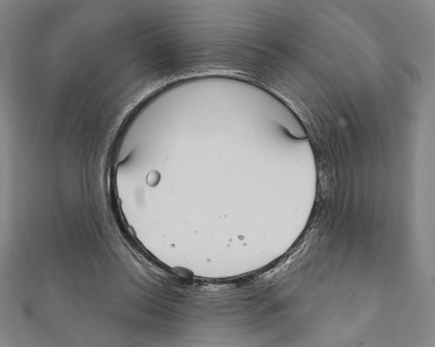 X0000111590350200908271014