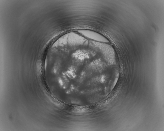 X0000111590351200908271014