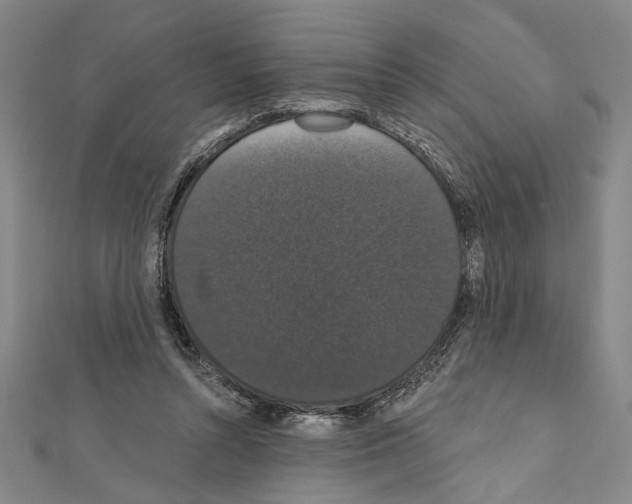 X0000111590352200908271014