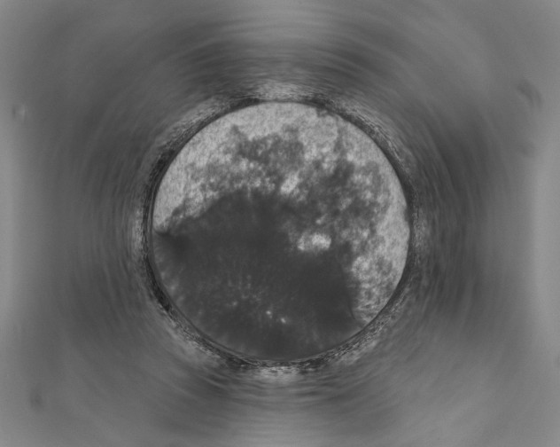 X0000111590353200908271014