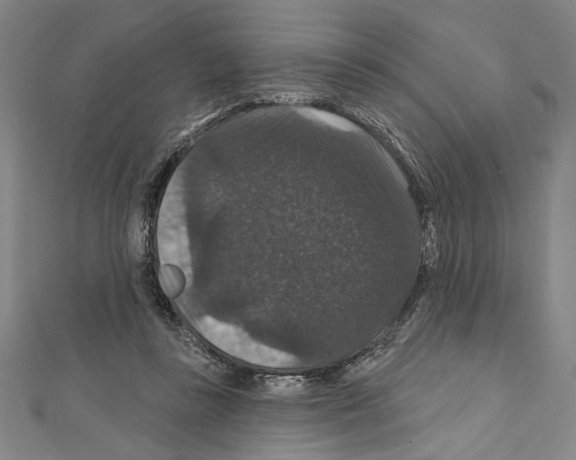 X0000111590355200908271014