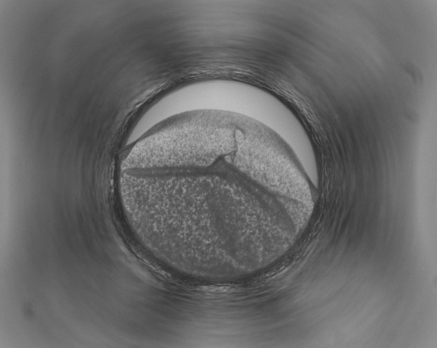 X0000111590356200908271014