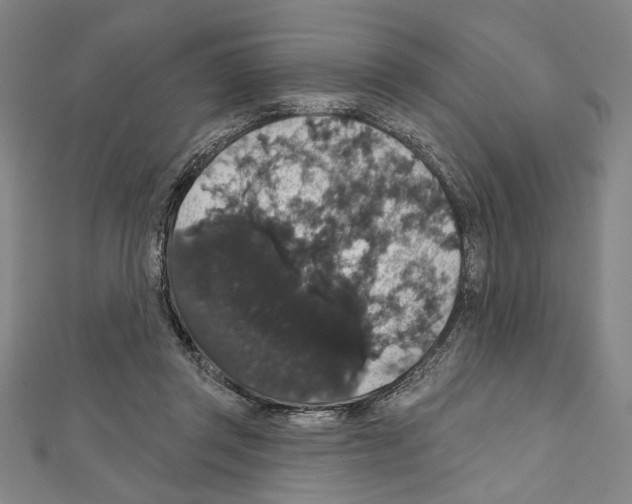 X0000111590357200908271014