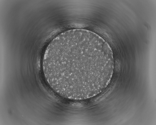 X0000111590358200908271014