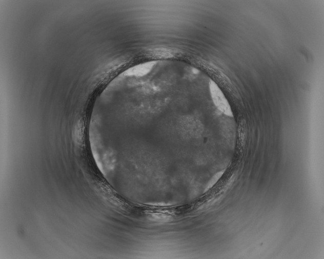 X0000111590359200908271014