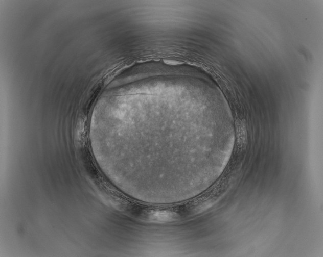 X0000111590360200908271014