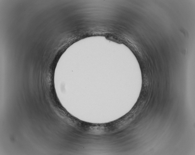 X0000111590362200908271014
