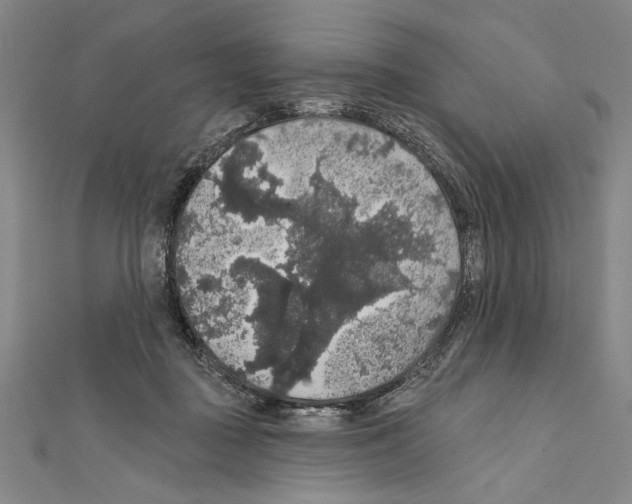 X0000111590363200908271014