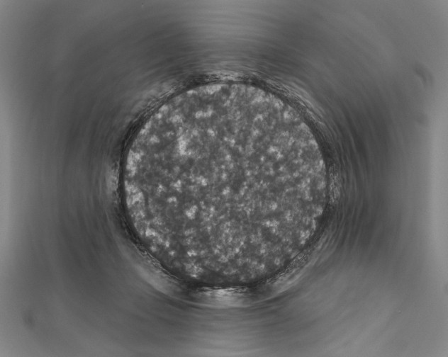 X0000111590365200908271014