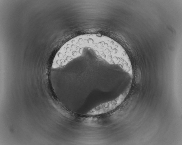 X0000111590366200908271014