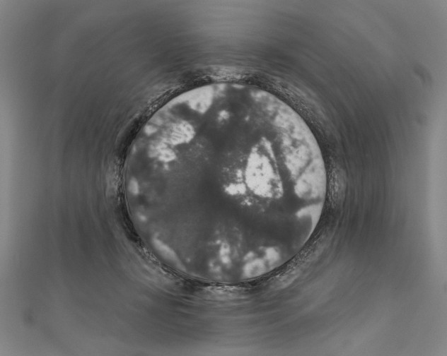X0000111590367200908271014