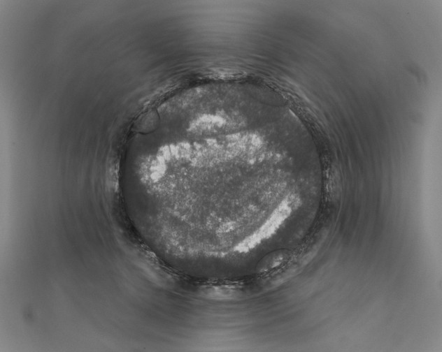 X0000111590368200908271014