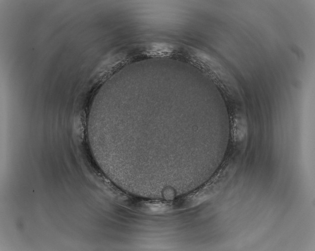 X0000111590370200908271014