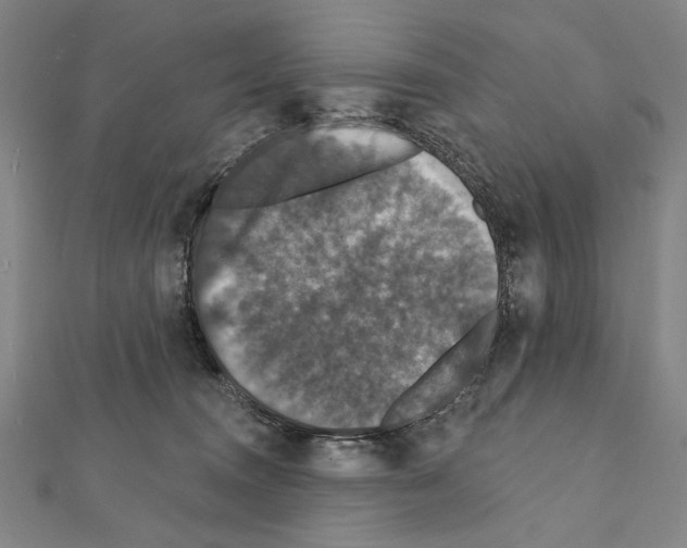 X0000111590372200908271014