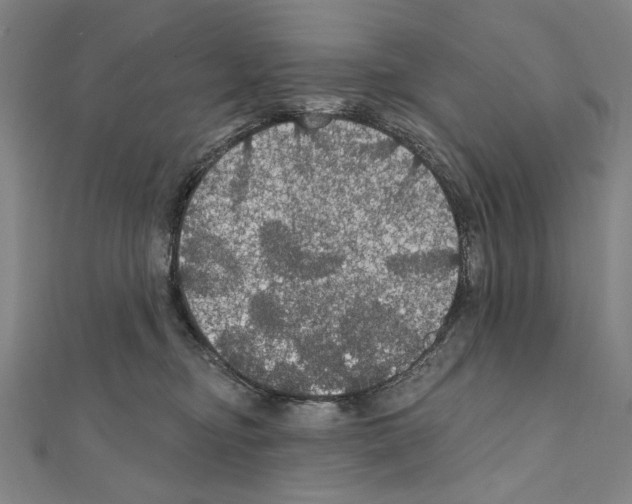 X0000111590374200908271014