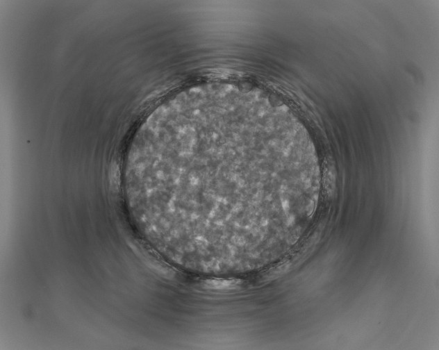 X0000111590375200908271014