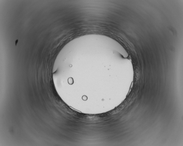 X0000111590376200908271014