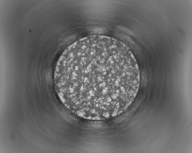 X0000111590377200908271014