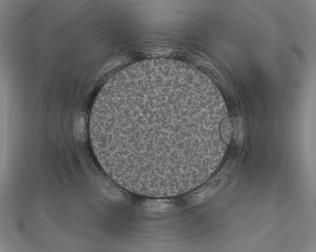 X0000111590378200908271014