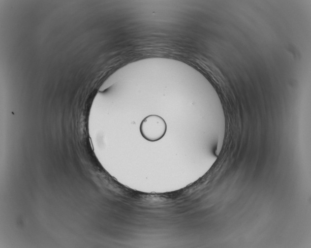 X0000111590380200908271014