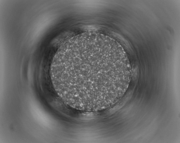 X0000111590381200908271014
