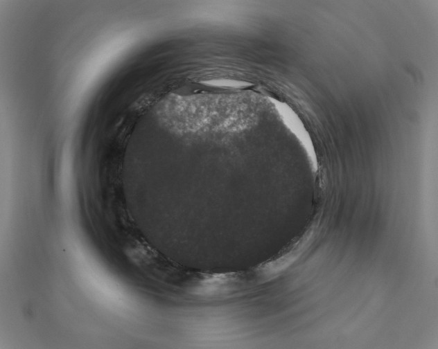 X0000111590382200908271014