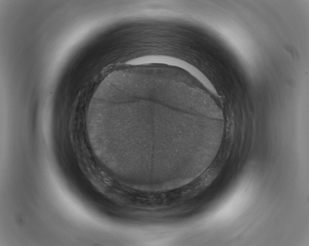 X0000111590383200908271014