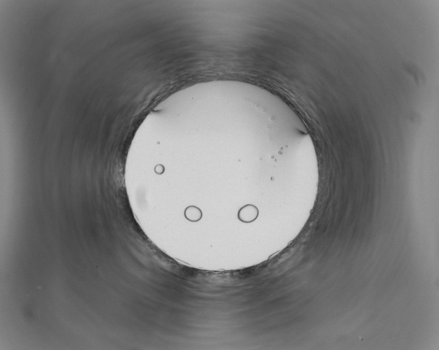X0000111590384200908271014