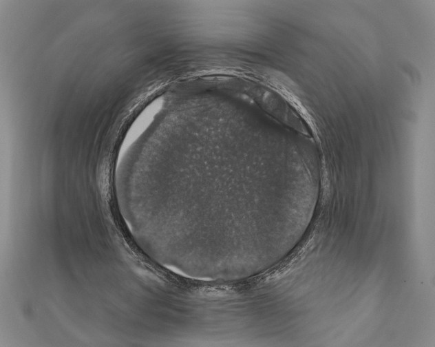 X0000111590386200908271013