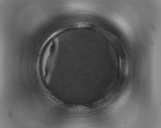 X0000111590387200908271013
