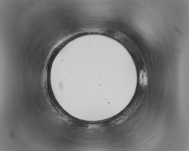 X0000111590388200908271013