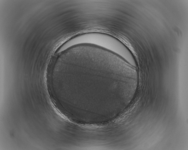 X0000111590389200908271013