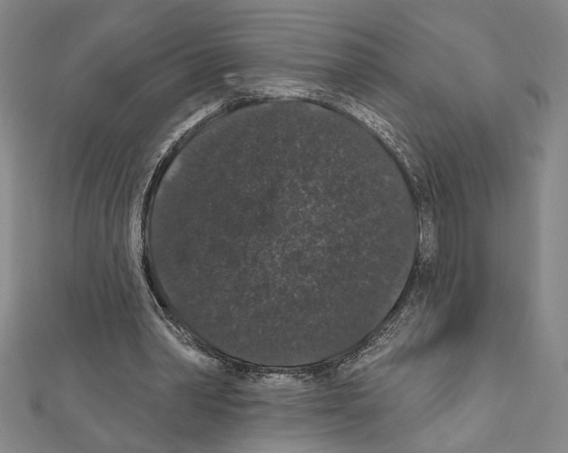 X0000111590390200908271013