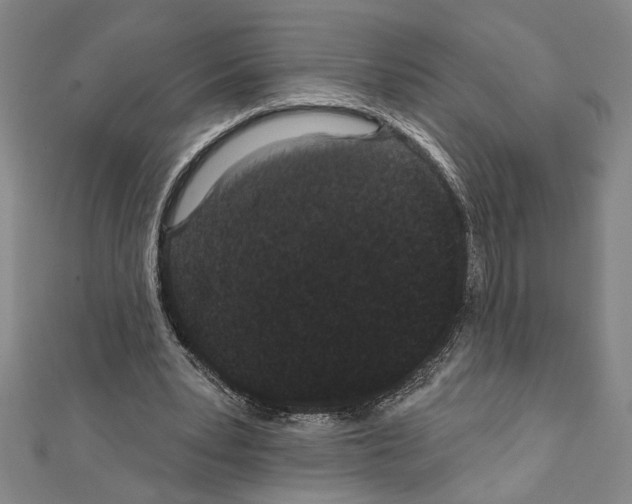 X0000111590391200908271013